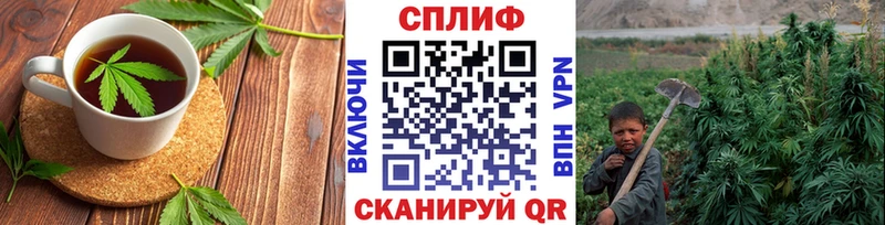Купить где  Краснокамск  Canna-Cookies марихуана 