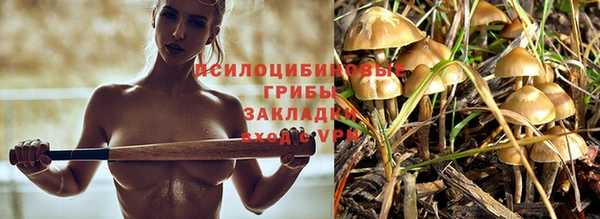 спайс Алзамай