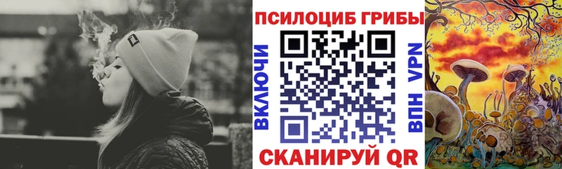 Псилоцибиновые грибы Psilocybine cubensis  Купить где  Краснокамск 